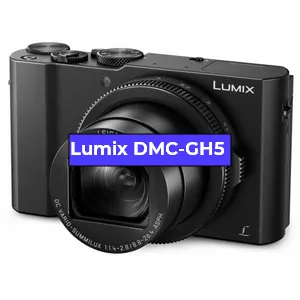 Замена Прошивка фотоаппарата Lumix DMC-GH5 в Санкт-Петербурге